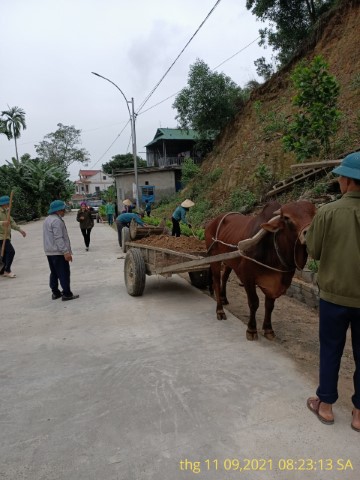 Xã Sơn Ninh tập trung cũng cố nâng cao các tiêu chí NTM